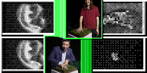 Touching Grass at the Andrew Yang Party