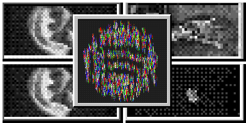 Spotify’s New Policy Won’t Stop the Wave of AI Slop