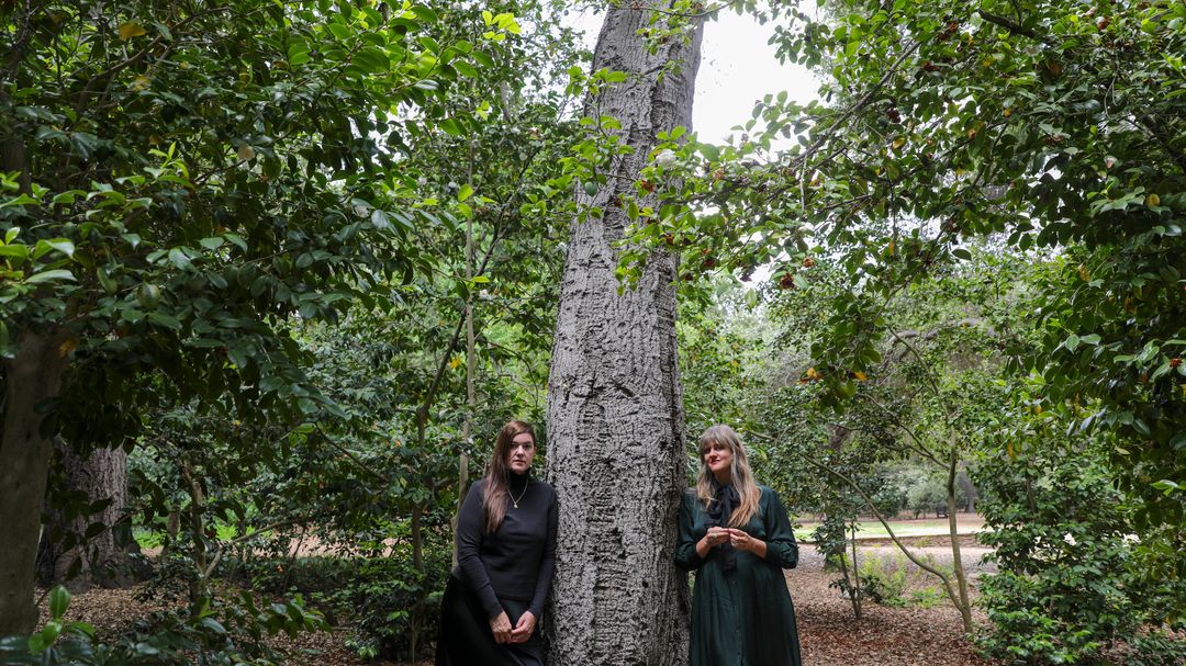 Julianna Barwick and Mary Lattimore Announce Joint Album and Tour, Share New Song
